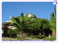 PANORAMA PENSION, Photo 12