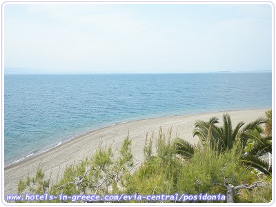 POSIDONIA PANSION, Photo 6