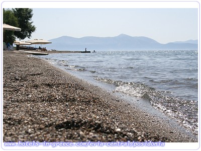 POSIDONIA PANSION, Photo 9