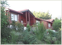 TETRAPOLIS GUESTHOUSE, Paleochori, Fthiotida, Photo 6