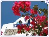 IFESTIO VILLAS, Oia, Santorini, Photo 2