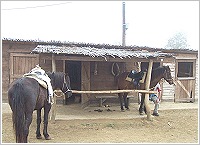 AGNANTI HOTEL, Lefkochori, Thessaloniki, Photo 3