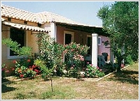 DAPHNES APARTMENTS, Vasilikos, Zakynthos, Photo 3